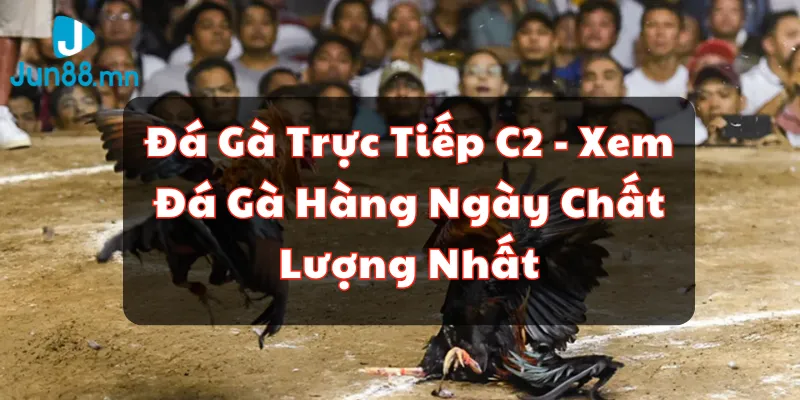 đá gà trực tiếp C2