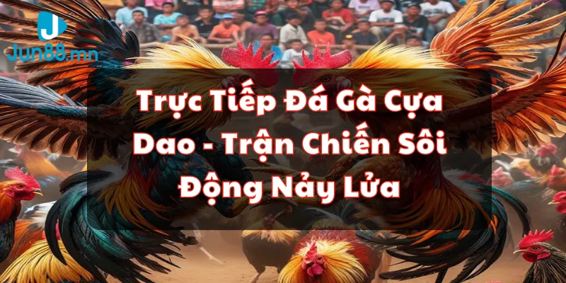 trực tiếp đá gà cựa dao